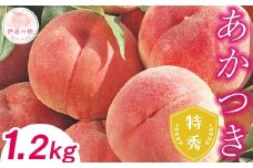 【2025年出荷分 先行予約】糖度12度以上 福島県産 あかつき 1.2kg 特秀 透過式光センサー選別 2025年7月下旬～2025年8月上旬発送 先行予約 予約 伊達の桃 桃 もも モモ 果物 くだもの フルーツ 名産品 国産 食品 F21C-047