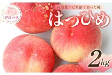 【2025年出荷分 先行予約】自然豊かな月舘で育った桃 はつひめ2kg（6～10玉） 桃 もも モモ 果物 くだもの フルーツ 名産品 国産 食品 F21C-048