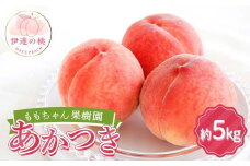 ≪2025年出荷分≫先行予約 ももちゃん果樹園の自慢の桃「あかつき」約5kg（13～18玉） 2025年7月下旬～2025年8月上旬発送 伊達の桃 福島県 伊達市 桃 もも モモ 果物 くだもの フルーツ 国産 食品 F21C-043