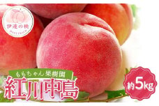 ≪2025年出荷分≫先行予約 ももちゃん果樹園の自慢の桃「紅川中島」約5kg（13～18玉） 2025年8月中旬～2025年8月下旬発送 伊達の桃 福島県 伊達市 桃 もも モモ 果物 くだもの フルーツ 国産 食品 F21C-045