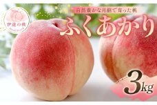 【2025年出荷分 先行予約】自然豊かな月舘で育った桃 ふくあかり3kg（9～12玉） 桃 もも モモ 果物 くだもの フルーツ 名産品 国産 食品 F21C-051