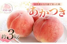 【2026年出荷分先行予約】福島県産 あかつき 約3kg (9～12玉) 森果樹園 自然豊かな月舘で育った桃 伊達の桃 桃 フルーツ 果物 もも モモ momo F21C-053