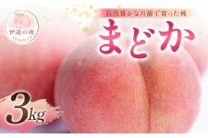 【2025年出荷分 先行予約】自然豊かな月舘で育った桃 まどか3kg（8～12玉） 桃 もも モモ 果物 くだもの フルーツ 名産品 国産 食品 F21C-055