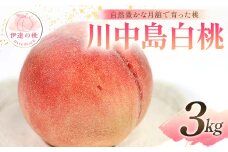 【2025年出荷分 先行予約】自然豊かな月舘で育った桃 川中島白桃3kg（8～12玉） 桃 もも モモ 果物 くだもの フルーツ 名産品 国産 食品 F21C-057
