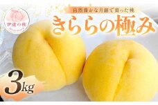 【2025年出荷分 先行予約】自然豊かな月舘で育った桃 きららの極み3kg（8～12玉） 桃 もも モモ 果物 くだもの フルーツ 名産品 国産 食品 F21C-059