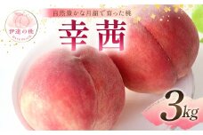 【2025年出荷分 先行予約】自然豊かな月舘で育った桃 幸茜3kg（8～12玉） 桃 もも モモ 果物 くだもの フルーツ 名産品 国産 食品 F21C-061