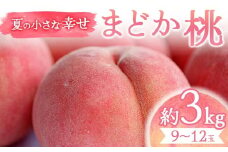 【2025年出荷分 先行予約】夏の小さな幸せ 桃「まどか」約3㎏（9～12玉） 桃 もも モモ 果物 くだもの フルーツ 国産 食品 F21C-069