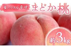 【2026年出荷分先行予約】福島県産 まどか 約3kg (9～12玉) 福島の桃農家ペシェエラ 夏の小さな幸せ 伊達の桃 桃 フルーツ 果物 もも モモ momo F21C-069