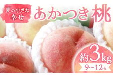 【2025年出荷分 先行予約】夏の小さな幸せ 桃「あかつき」約3kg（9～12玉） 桃 もも モモ 果物 くだもの フルーツ 国産 食品 F21C-067