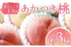 【2026年出荷分先行予約】福島県産 あかつき 約3kg (9～12玉) 福島の桃農家ペシェエラ 夏の小さな幸せ 伊達の桃 桃 フルーツ 果物 もも モモ momo F21C-067