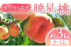 【2025年出荷分 先行予約】夏の小さな幸せ 桃「暁星」約3kg（9～12玉） 桃 もも モモ 果物 くだもの フルーツ 国産 食品 F21C-070