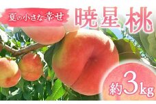 【2026年出荷分先行予約】福島県産 暁星 約3kg (9～12玉) 福島の桃農家ペシェエラ 夏の小さな幸せ 伊達の桃 桃 フルーツ 果物 もも モモ momo F21C-070
