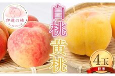 伊達市産の白桃と黄桃の特秀 もも 4玉入り (約1.1kg) 桃 もも モモ 果物 くだもの フルーツ 国産 食品 F21C-080