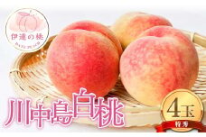 伊達市産の桃 川中島白桃の特秀 もも 4玉入り (約1.1kg) 桃 もも モモ 果物 くだもの フルーツ 国産 食品 F21C-077