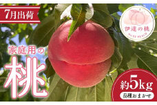 伊達市産 家庭用の桃 約5kg 品種おまかせ（7月出荷分） 桃 もも モモ 果物 くだもの フルーツ 国産 食品 F21C-083