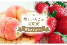 福島のフルーツ お試し 桃といちごの定期便（あかつき約1.1kg・とちおとめ500g） 桃 あかつき 特秀 いちご とちおとめ 定期便 伊達の桃 もも モモ 果物 くだもの フルーツ 国産 名産 食品 F21C-085