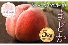ちょっと大きな8月の桃 まどか（曙紅）約5kg（13～16玉） 伊達の桃 桃 もも モモ 果物 くだもの フルーツ 国産 食品 F21C-121