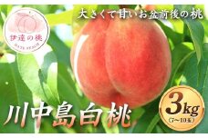 大きくて甘いお盆前後の桃 川中島白桃 約3kg（7～10玉） 伊達の桃 桃 もも モモ 果物 くだもの フルーツ 国産 食品 F21C-123