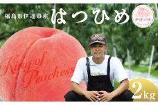 キングオブピーチ 桃 「はつひめ」約2kg（6～8玉）はつひめ 伊達の桃 桃 もも モモ 果物 くだもの フルーツ 国産 食品 F21C-133