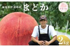 キングオブピーチ 桃 「まどか」約2kg （6～8玉）まどか 伊達の桃 桃 もも モモ 果物 くだもの フルーツ 国産 食品 F21C-137