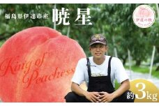 【2026年出荷分先行予約】福島県産 暁星 約3kg (8～12玉) KING OF PEACHESS キングオブピーチ ぎょうせい 伊達の桃 桃 フルーツ 果物 もも モモ momo F21C-140