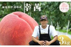 キングオブピーチ 桃 「幸茜」約3kg（8～12玉）暁星 伊達の桃 桃 もも モモ 果物 くだもの フルーツ 国産 食品 F21C-142
