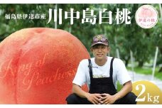 キングオブピーチ 桃 「川中島白桃」約2kg（6～8玉）川中島白桃 伊達の桃 桃 もも モモ 果物 くだもの フルーツ 国産 食品 F21C-145