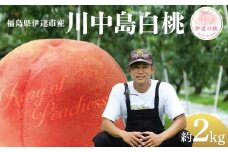 【2026年出荷分先行予約】福島県産 川中島白桃 約2kg (6～8玉) KING OF PEACHESS キングオブピーチ 伊達の桃 桃 フルーツ 果物 もも モモ momo F21C-145