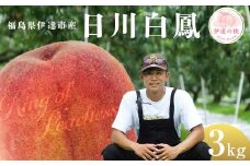 キングオブピーチ 桃 「日川白鳳」約3kg（8～12玉）日川白鳳 伊達の桃 桃 もも モモ 果物 くだもの フルーツ 国産 食品 F21C-148