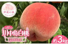 3代目の女性の農家が作る桃川中島白桃 約3kg（9～12玉） 桃 もも モモ 果物 くだもの フルーツ 国産 食品 F21C-130