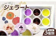 フルーツいっぱいジェラート3種類セット 各種2個入り  デザート ジェラート  ブルーベリー りんご あんぽ柿 福島県 伊達市 F21C-158