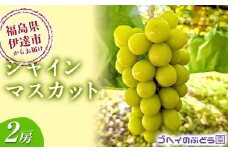 12月発送！ シャインマスカット 2房 (1.2～1.4kg) 果物 くだもの フルーツ 国産 名産 食品 F21C-116