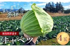甘い柔らかい！冬採りキャベツ！ 4玉 (約5kg) F21C-117
