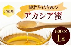 非加熱 純粋生はちみつ アカシア蜜 500g  ハチミツ 蜂蜜 健康食品 ダイエット ビタミン F21C-149