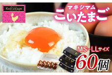 【TVで話題沸騰！】とにかく黄身が濃いたまご「マキシマムこいたまご」60個入り 伊達市 福島県 国産 MS～LLサイズ 卵 たまご 玉子 生卵 鶏卵 F21C-181