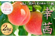 大きく固め 夏の終わりの桃 幸茜 約2kg（6～7玉） 伊達の桃 桃 もも モモ 果物 くだもの フルーツ 国産 食品 F21C-125
