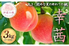 大きく固め 夏の終わりの桃 幸茜 約3kg（7～10玉） 伊達の桃 桃 もも モモ 果物 くだもの フルーツ 国産 食品 F21C-126