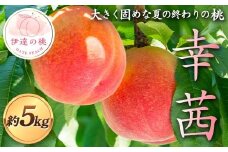 【2026年出荷分先行予約】福島県産 幸茜 約5kg (13～16玉) 佐藤俊博 大きく固め 夏の終わりの桃 伊達の桃 桃 もも モモ 果物 くだもの フルーツ 国産 食品 F21C-127