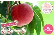 桃井あい農園の桃 あかつき 約5kg（15~20玉）桃 もも モモ 果物 F21C-207