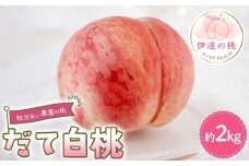 桃井あい農園の桃 だて白桃 約2kg（5~7玉）桃 もも モモ 果物 F21C-211