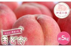 桃井あい農園の桃 まどか 約5kg（15~20玉）桃 もも モモ 果物 F21C-210
