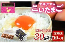 【TVで話題沸騰！】10か月定期便！とにかく黄身が濃いたまご「マキシマムこいたまご」30個入り F21C-190
