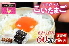 【TVで話題沸騰！】9か月定期便！とにかく黄身が濃いたまご「マキシマムこいたまご」60個入り F21C-200