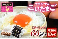 【TVで話題沸騰！】10か月定期便！とにかく黄身が濃いたまご「マキシマムこいたまご」60個入り F21C-201