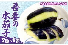 吾妻の水茄子 茄子 野菜 ナス 漬物 福島県 伊達市 F21C-173