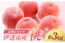 伊達市産 桃好き必見！ 品種おまかせの桃 約3kg 2025年9月中旬～2025年10月中旬頃出荷 伊達の桃 桃 もも モモ 名産品 果物 くだもの フルーツ 国産 産地直送 F21C-221