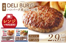 ハンバーグ食べ比べ 2種セット（計2.9kg）【07214-0316】