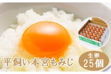 福島県本宮市産　平飼い本宮もみじ卵　生卵25個　【07214-0012】