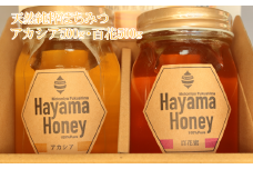 天然純粋はちみつ アカシア500g・百花500g(福島県本宮産)　【07214-0021】