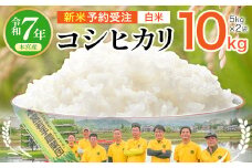 【令和7年産 新米予約受注】福島県産コシヒカリ10㎏（5kg×2）≪白米≫　【07214-0392】